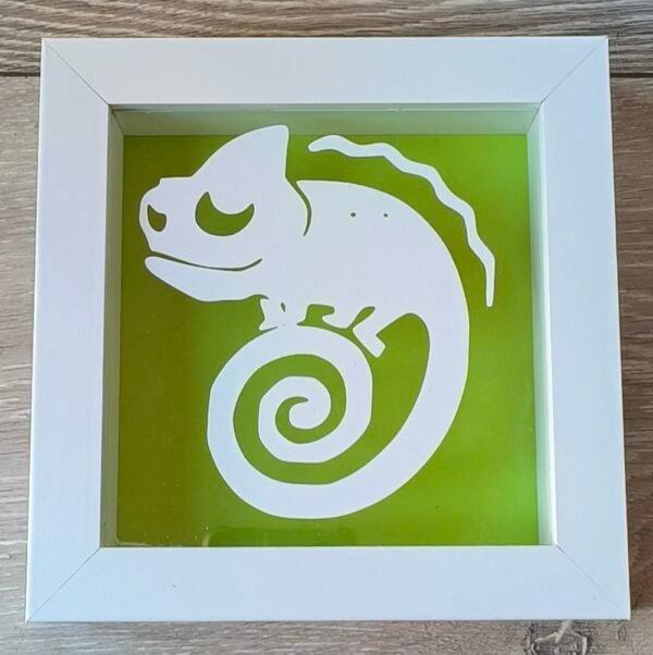Chameleon 6x6 White Shadow Box